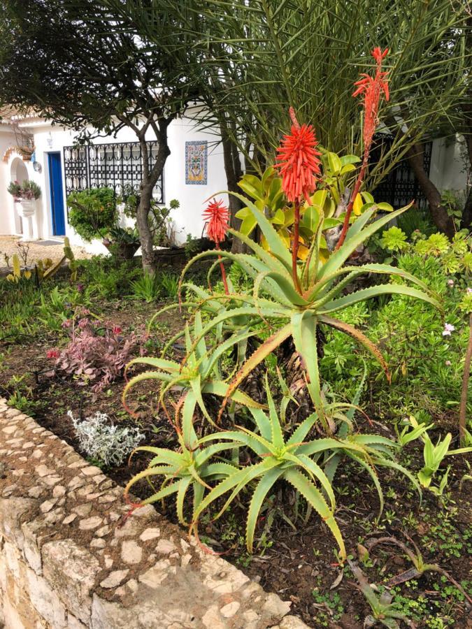 Charming Villa With Heated Pool Near Sandy Beach, Hiking, Golf And Wineries Praia Da Luz Экстерьер фото